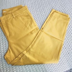 Old Navy Pixie high rise pants